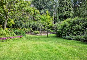 Optimiser l'expérience du jardin à Clery-en-Vexin